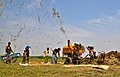 Threshing of paddy by machine, Bangladesh