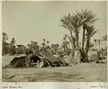 A Bedouin bayt - Biskra - 1880
