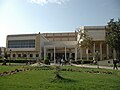 The Faculty of Medicine