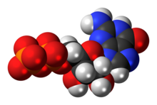 Space-filling model of the guanosine diphosphate anion