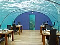 Image 16Ithaa, the first undersea restaurant at the Conrad Maldives Rangali Island resort (from Hotel)