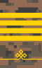 Mongolian Army-SCP(v)-field