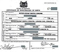 A 1967 Singapore certificate of registration of birth, without indication as to citizenship status