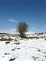 Snow in Mount Hermon, Israel