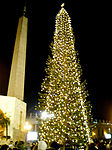 Christmas tree in Vatican City.