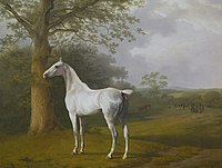 White Horse in Pasture, 1806–1807, oil on canvas, Oskar Reinhart Foundation, Winterthur