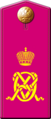 Вариант: 11-й Восточно-Сибирский стрелковый полк (1904—1917 гг.)