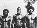 Image 53Men from Bathurst Island, 1939 (from Aboriginal Australians)