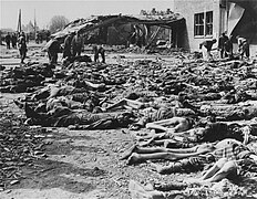German civilians bury victims under US Army supervision