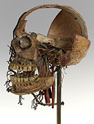 Dissected skull, Maison Tramond model, Paris, nineteenth century (24251862791)]]