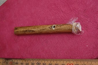 Example of a Eunuch flute