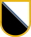 US Army South, 470th Military Intelligence Brigade, 14th Military Intelligence Battalion, Company C (Long-Range Surveillance)