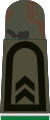 HA OS5 32 Oberfeldwebel OA (Army First/Staff Sergeant OA, Panzer Grenadier Corps, field uniform)