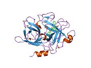 1vj9: Urokinase Plasminogen Activator B-Chain-JT464 Complex