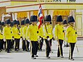 Colour guard of the 1st Marine Battalion, King's Guard, Royal Thai Navy