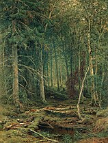 Backwoods, 1872