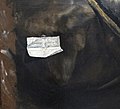 Trompe l'oeil paper label with Greek signature, lower left