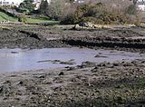 Remains of an ancient stone fishing weir in the tidal Menai Strait in Wales