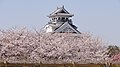 Nagahama Castle in the spring