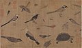 Image 20Description of rare animals (写生珍禽图), by Huang Quan (903–965) during the Song dynasty. (from History of biology)