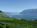 Lake Geneva and the Swiss Alps from Lavaux.