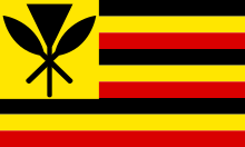 A flag with nine stripes alternating black, yellow, and red, with a yellow field in the canton defaced with a kahili crossed by two paddles.