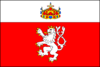 Flag of Nový Bydžov