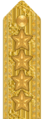 Shoulder mark on uniform m/87 (Army and Air Force) (1987–present)