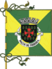Flag of Paços de Ferreira
