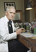 Sir Alexander Fleming, was a Scottish bacteriologist, biologist, pharmacologist and botanist. He discovered the antibacterial enzyme lysozyme in 1923. Later he isolated and studied the antibiotic substance penicillin from the mold Penicillium notatum in 1928.