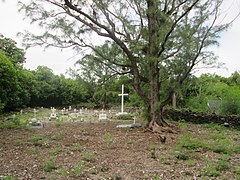 The Thirteen Islands of St Brandon - Cemetery of Île Raphael