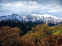 Alte Buchenwälder und Buchenurwälder der Karpaten und anderer Regionen Europas