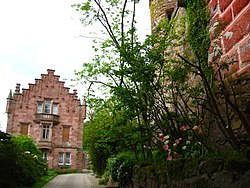 Zwingenberg, May 2008