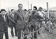 A group of men in suits inspecting some plants