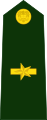 Mayor (Colombian National Army)[26]