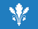 Flag of Øvre Eiker Municipality