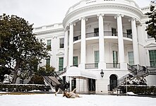 Champ and Major playing in the snow on the South Lawn of the White House in February 2021
