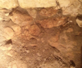 The excavation site underneath the Siebenberg House has many different colored varieties of Limestone. This image shows an example of a redder Limestone rock.