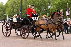 Trooping the Colour parade (2023)