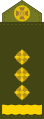 Ukraine (polkovnik/полковник)