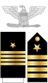 The eagle, shoulder boards, and dress blue sleeve stripes of a U.S. Navy captain (Line officer)