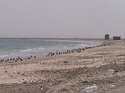 View from the coast of the Gulf of Aden in the Al Buraiqeh district in 2003.