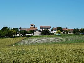A general view of Cornille