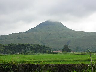 Musuan in Bukidnon