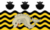 Flag of Poole