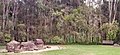 Eucalypt woodland area near Prospect Creek in western Sydney. Mostly E. amplifolia and E. tereticornis.