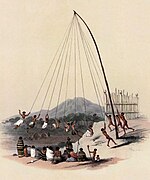 Did you know that New Zealand's indigenous Māori people used the cabbage tree Cordyline australis for food, medicine, and to make strong ropes like those used for morere swings (pictured)? (9 May 2010)