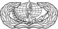 Services Badge (Enlisted)