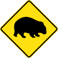(W5-V112) Wombats (used in Victoria)