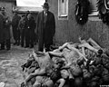Der amerikanische Senator Alben W. Barkley besichtigt das KZ Buchenwald (24. April 1945)